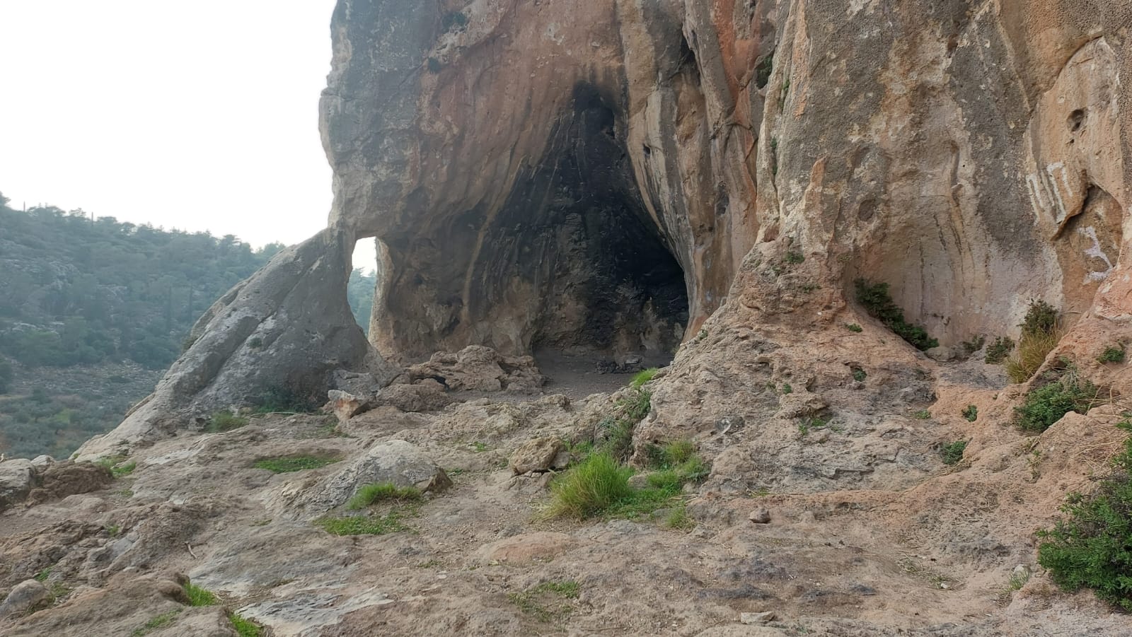 מערות היונים